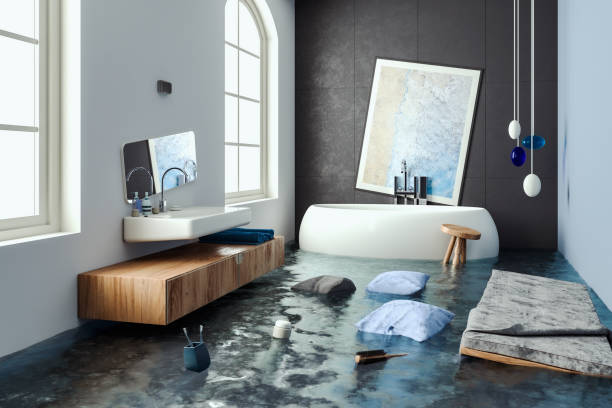 Best Water damage mitigation services  in Plymouth, MN