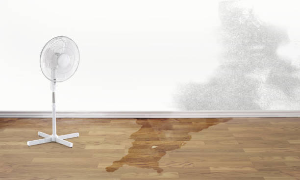 Best Basement water damage restoration  in Plymouth, MN