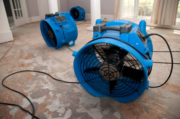 Best Water damage cleanup near me  in Plymouth, MN